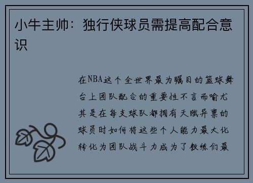 小牛主帅：独行侠球员需提高配合意识